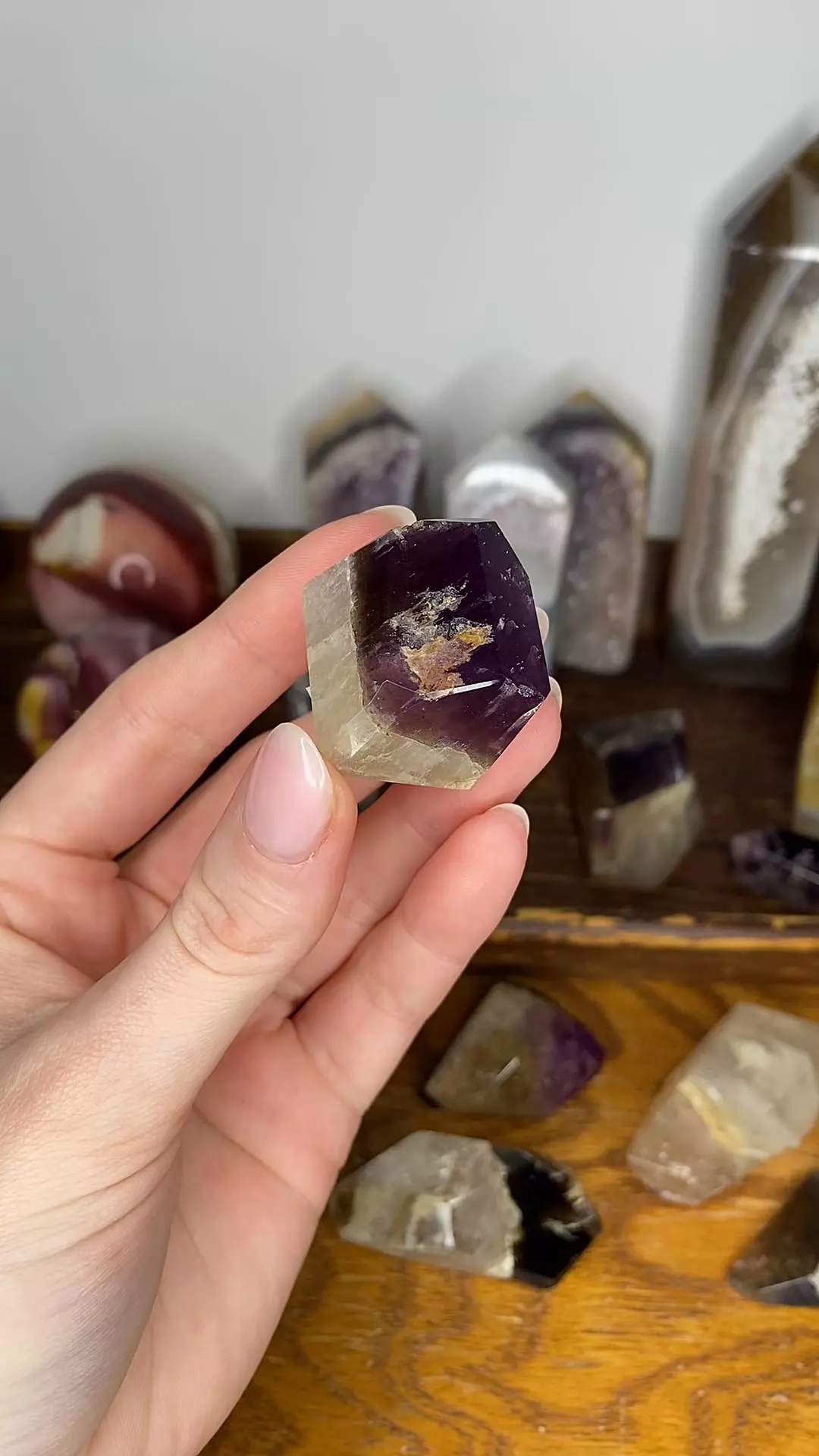 plant/Dreamcoat Amethyst Freeform from Brazil-0