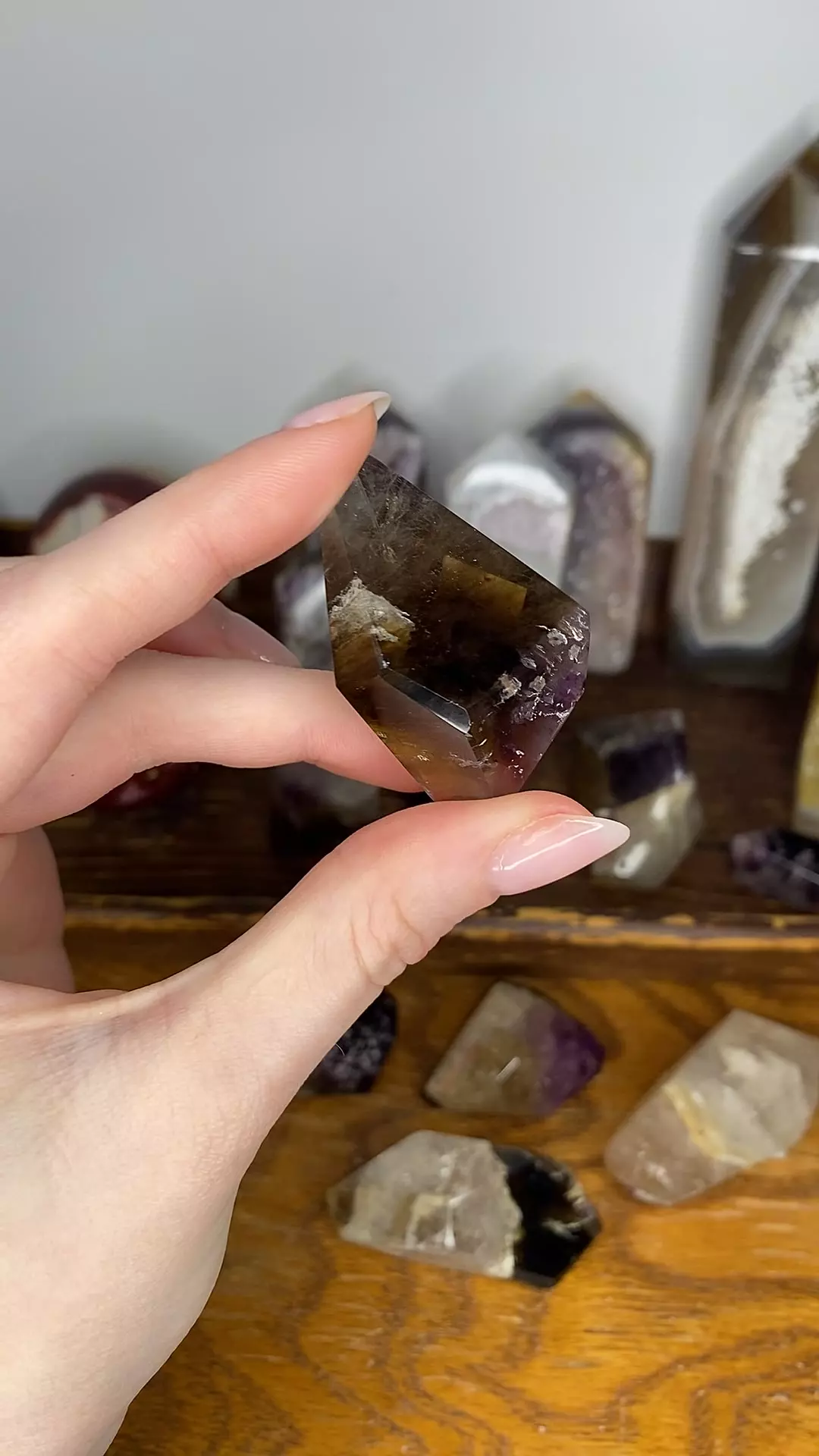 plant/Dreamcoat Amethyst Freeform from Brazil-0