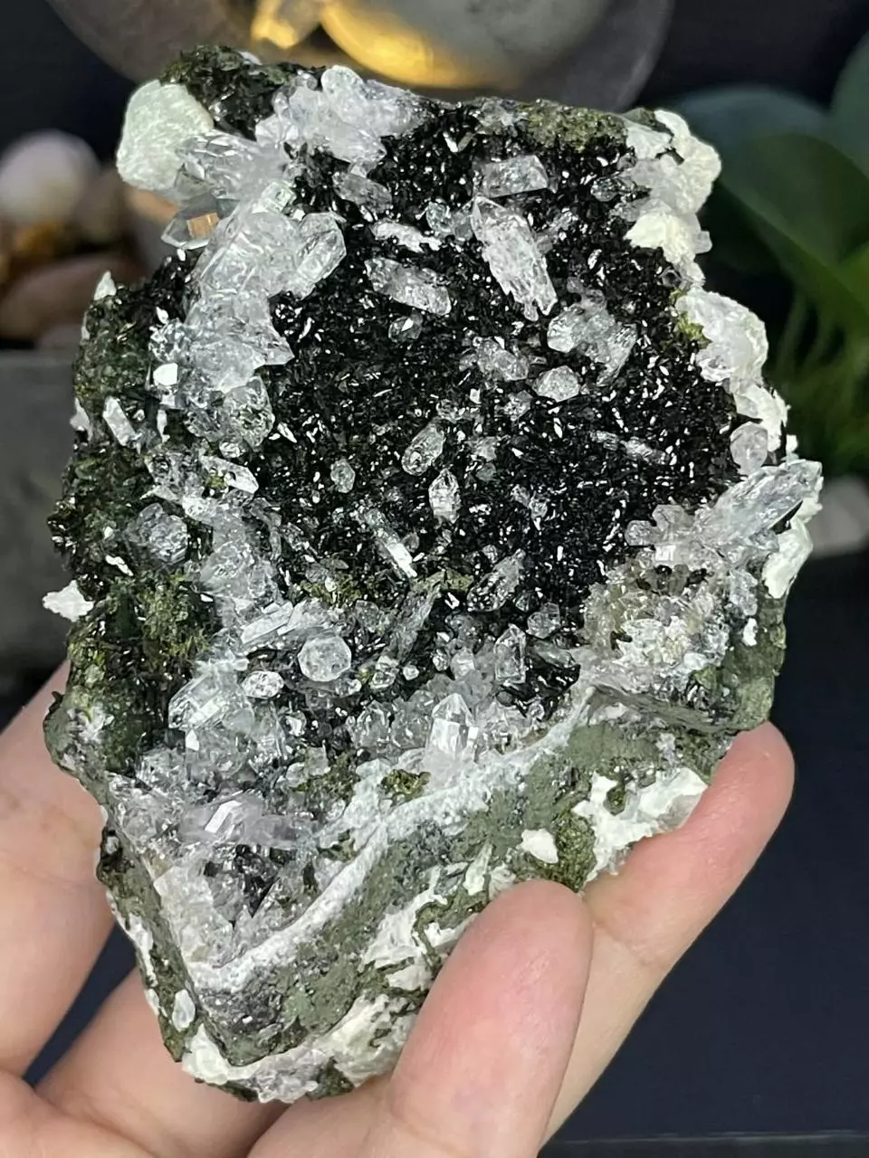 plant/Epidote, Bubbly Prehinite & Quartz-0