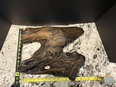 plant/44-0-thumbnail