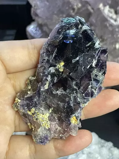 plant/Purple Phantom Fluorite-0-thumbnail