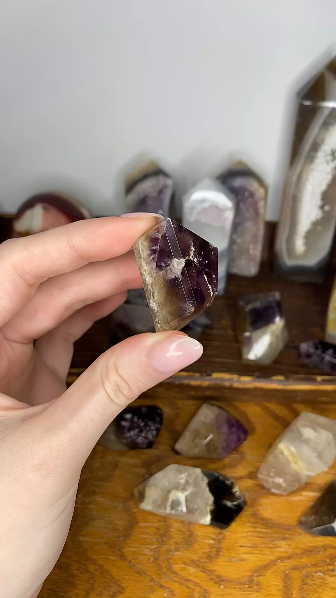 plant/Dreamcoat Amethyst Freeform from Brazil-0