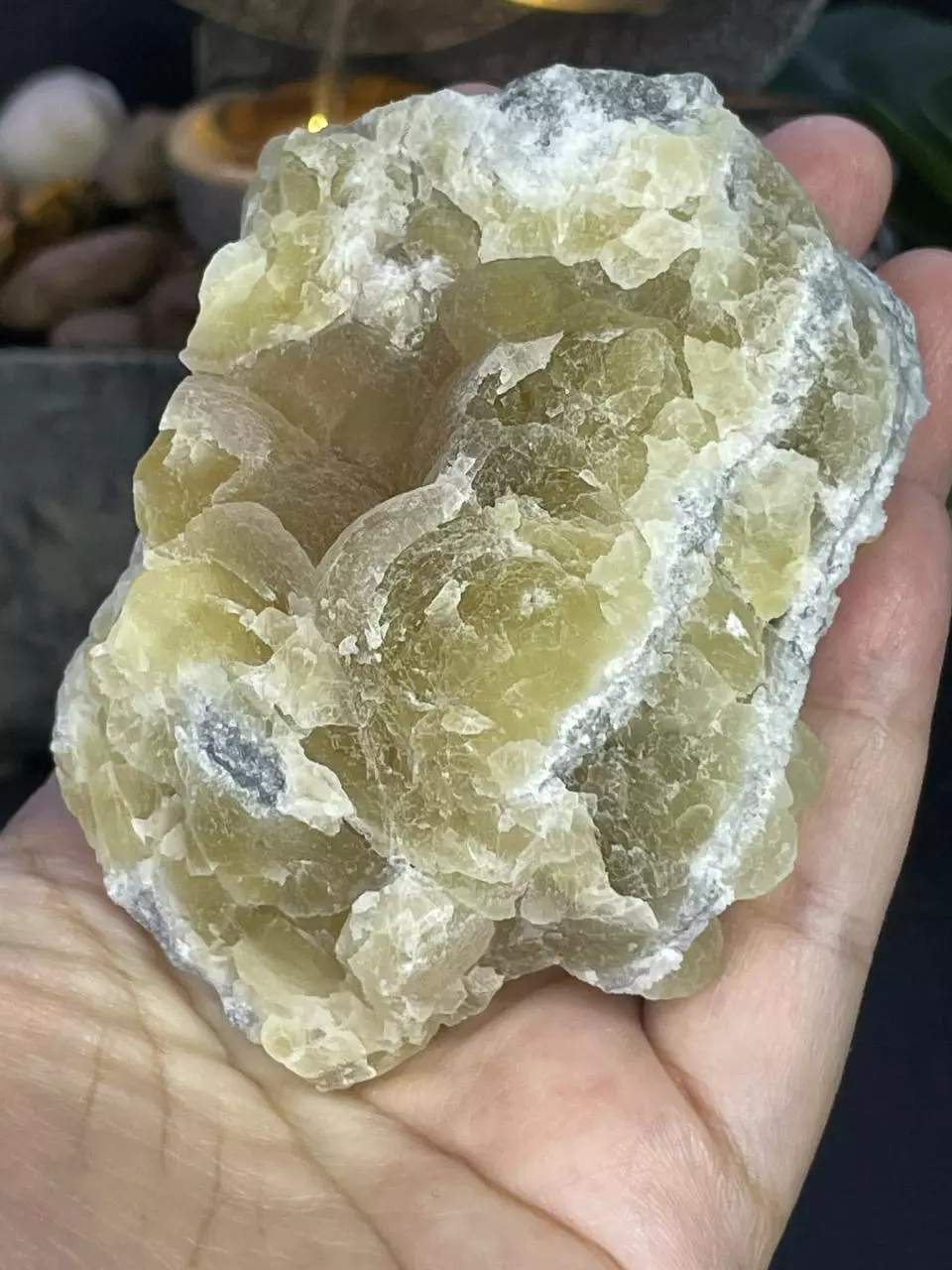 plant/Yellow Flourite-0
