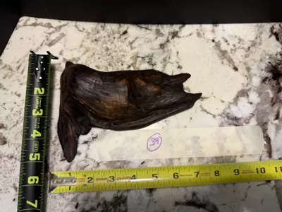 plant/39-0-thumbnail