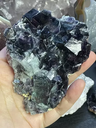 plant/Purple Phantom Fluorite-0-thumbnail