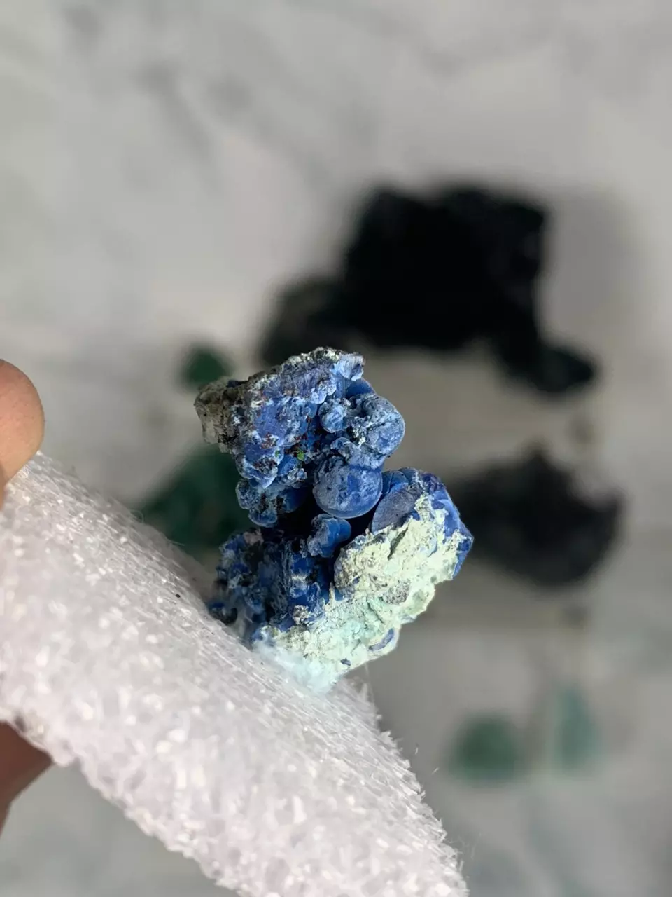 plant/Shattuckite 2 - Mexico-1