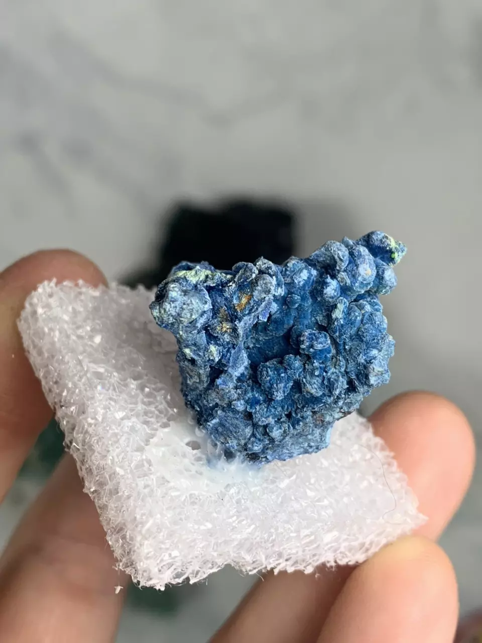 plant/Shattuckite 1 - Mexico-0