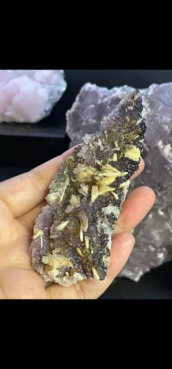 plant/Purple Fluorite & Barite-0