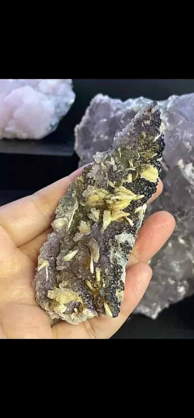 plant/Purple Fluorite & Barite-0-thumbnail