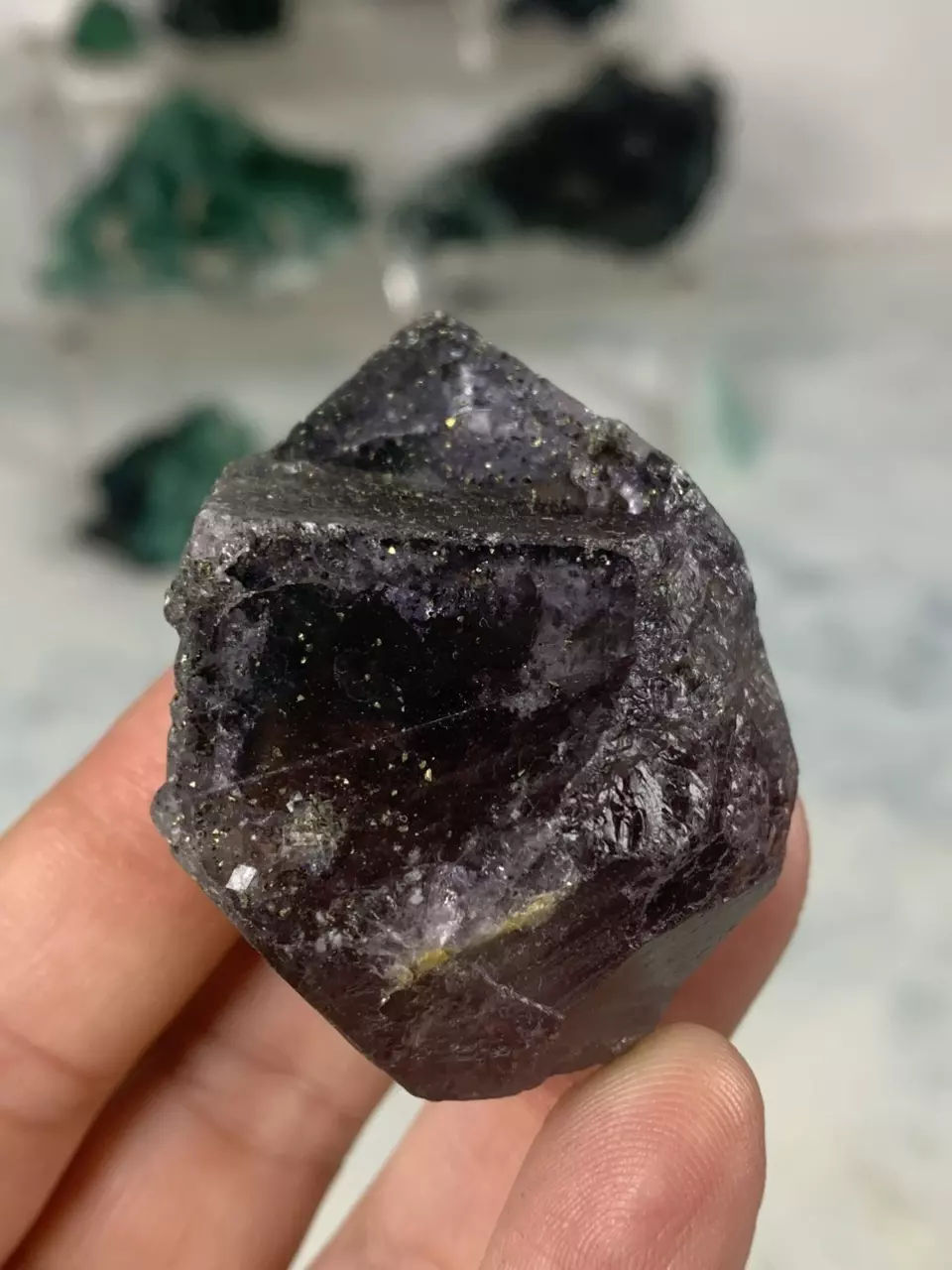 plant/Fluorite with Pyrite - Nigeria-0