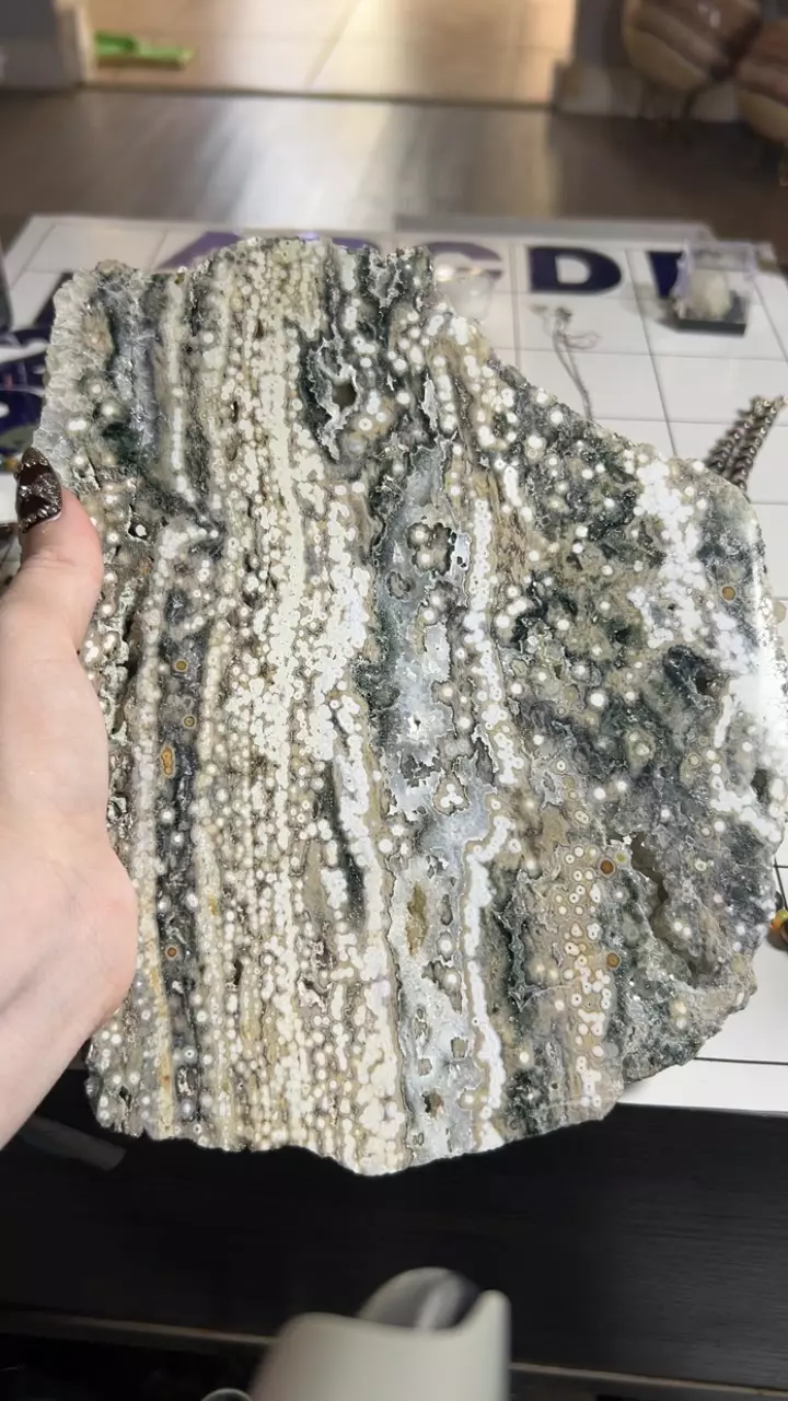 plant/Kabamby OJ Slab-0