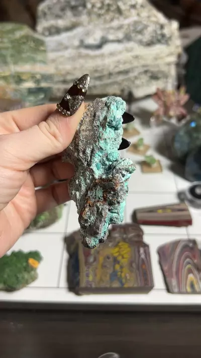 plant/Chrysocolla-0-thumbnail