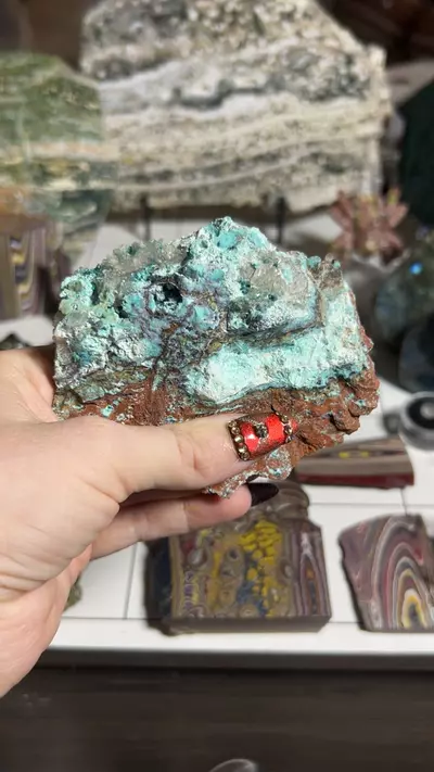 plant/chrysocolla fluorite-0-thumbnail