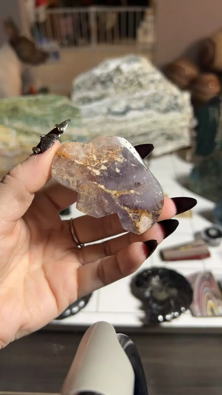 plant/Ojuela Fluorite Bison-0