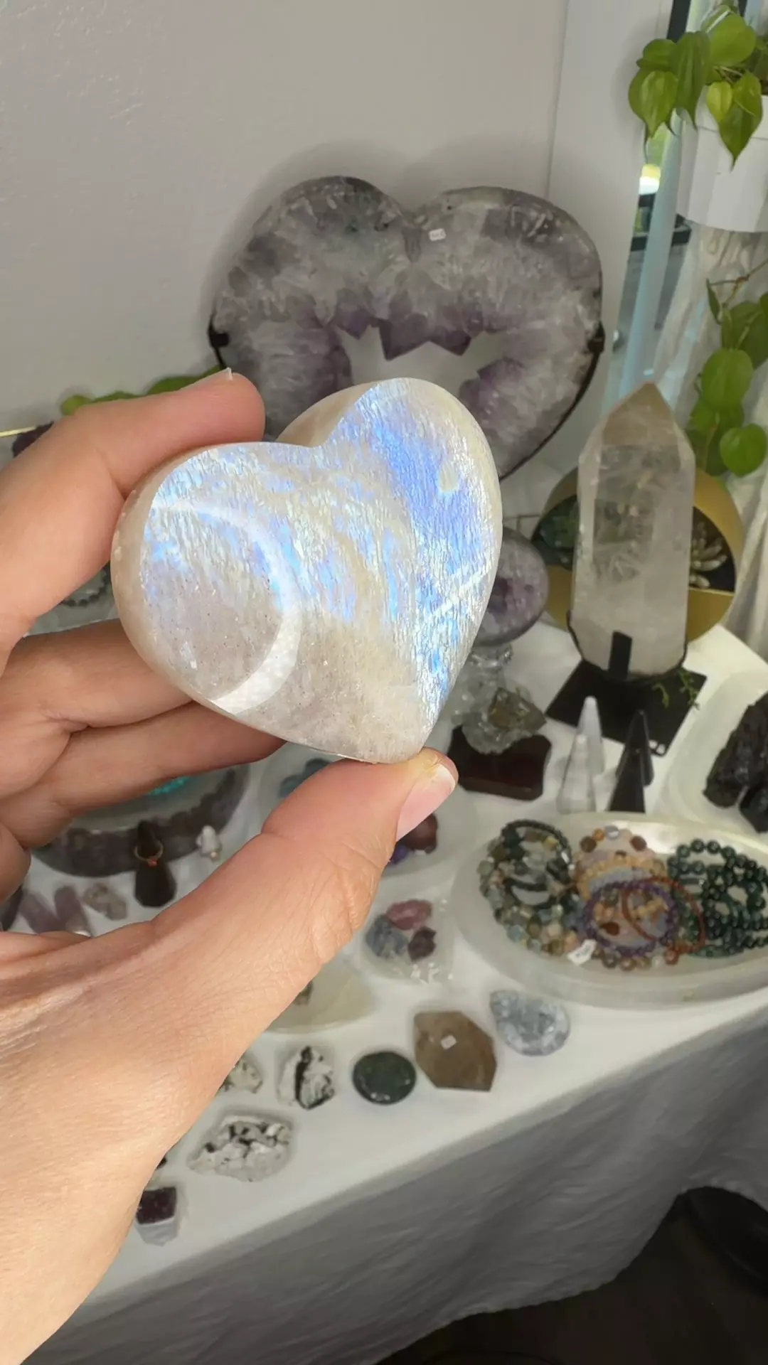 plant/blue flash moonstone heart 36C-0
