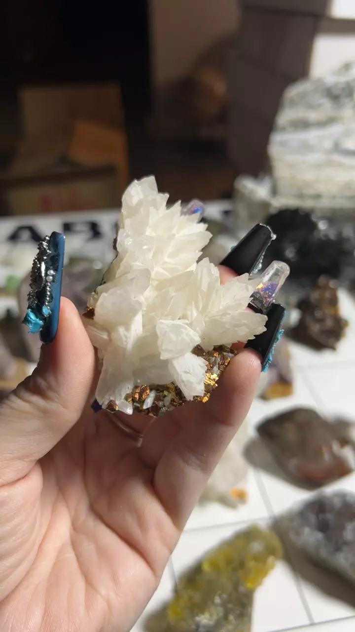 plant/calcite marcasite-0