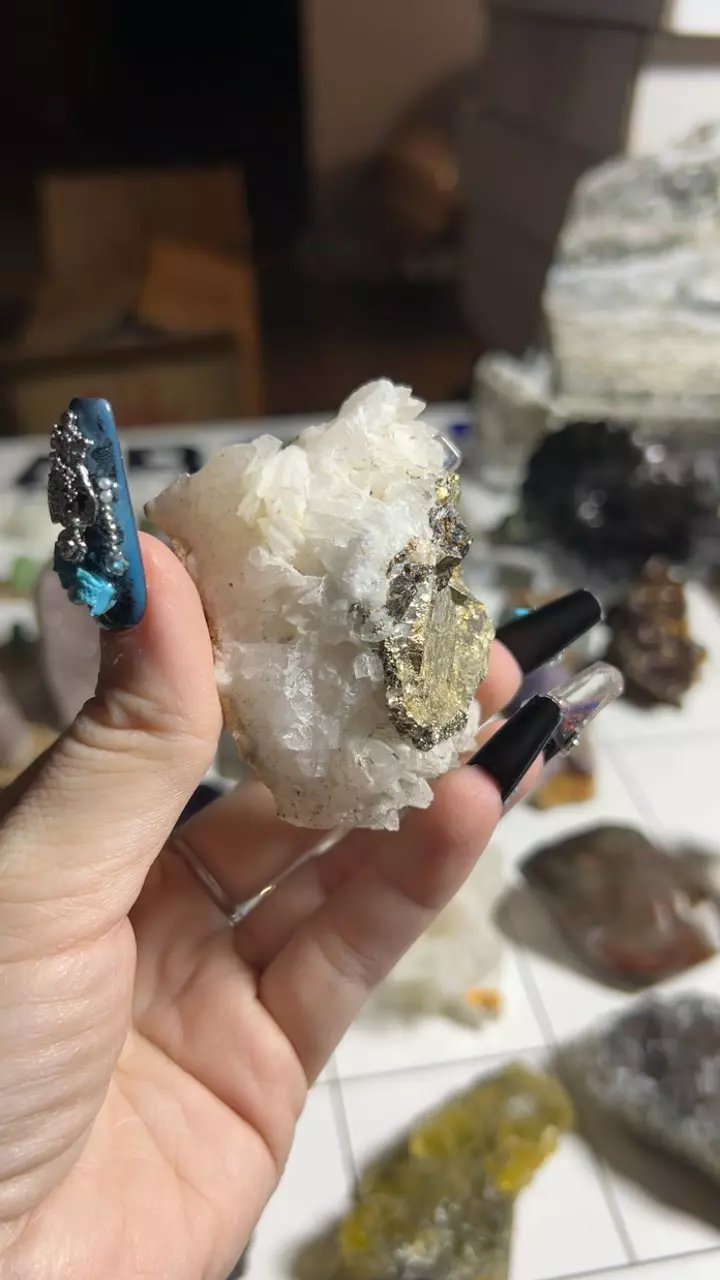 plant/calcite marcasite-0