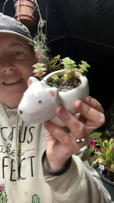 plant/Bear string of buttons variegated-0-thumbnail