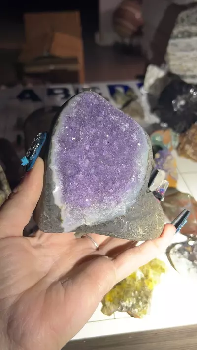 plant/Rainbow Amethyst Cutbase-0-thumbnail