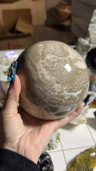 plant/oj-0-thumbnail