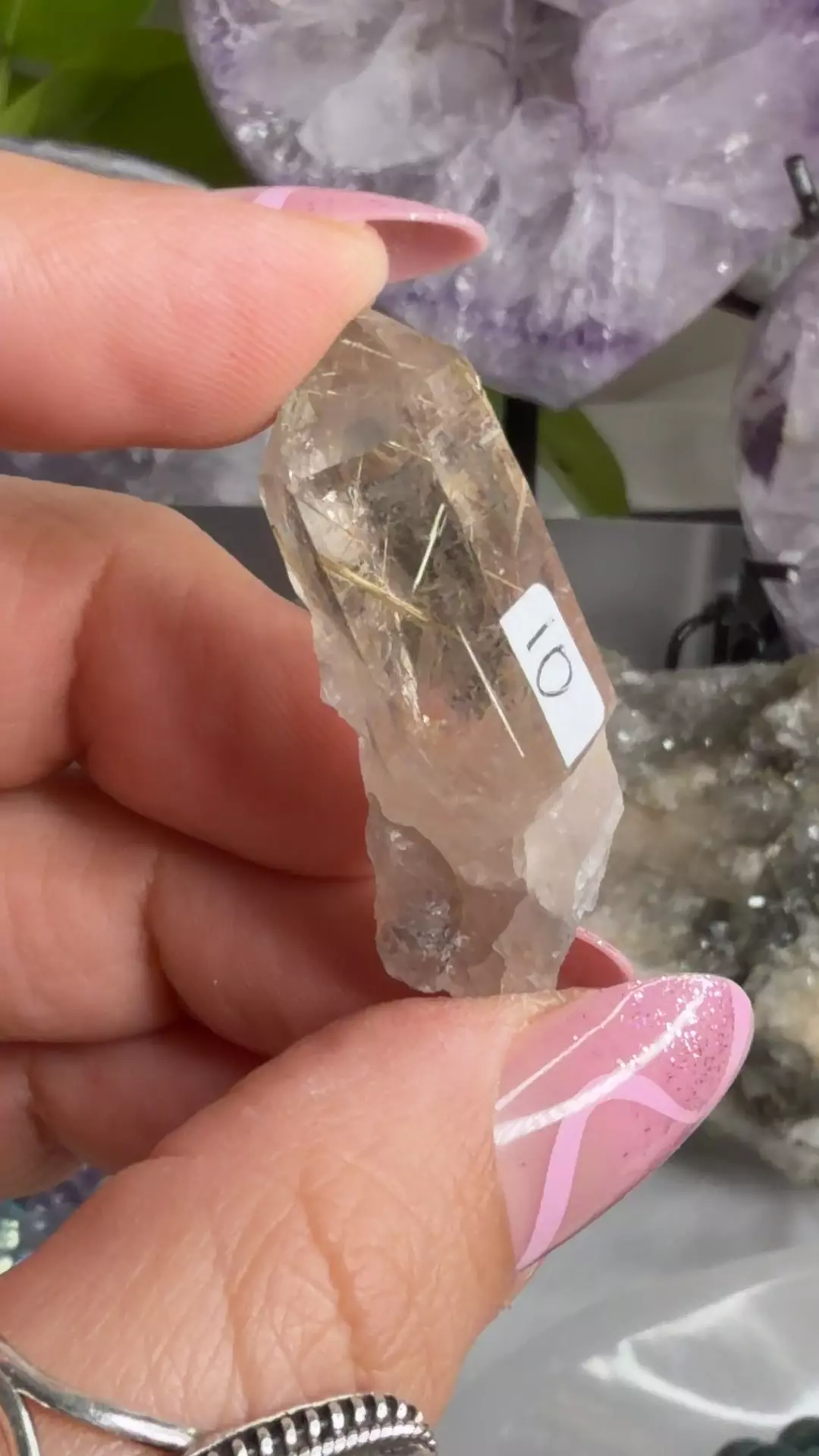 plant/smoky w golden rutile-0