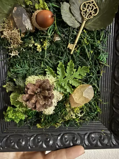 plant/Natures Bounty Frame-2-thumbnail