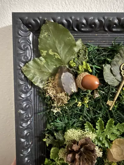 plant/Natures Bounty Frame-4-thumbnail