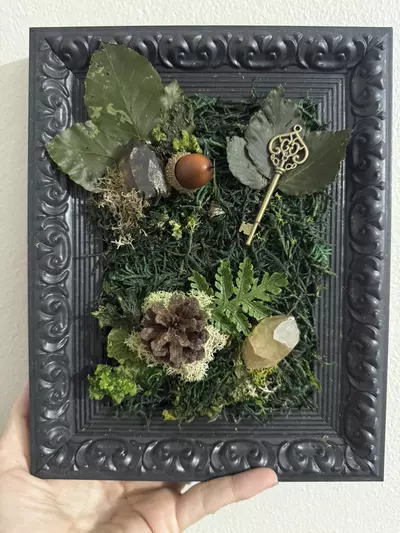 plant/Natures Bounty Frame-0-thumbnail
