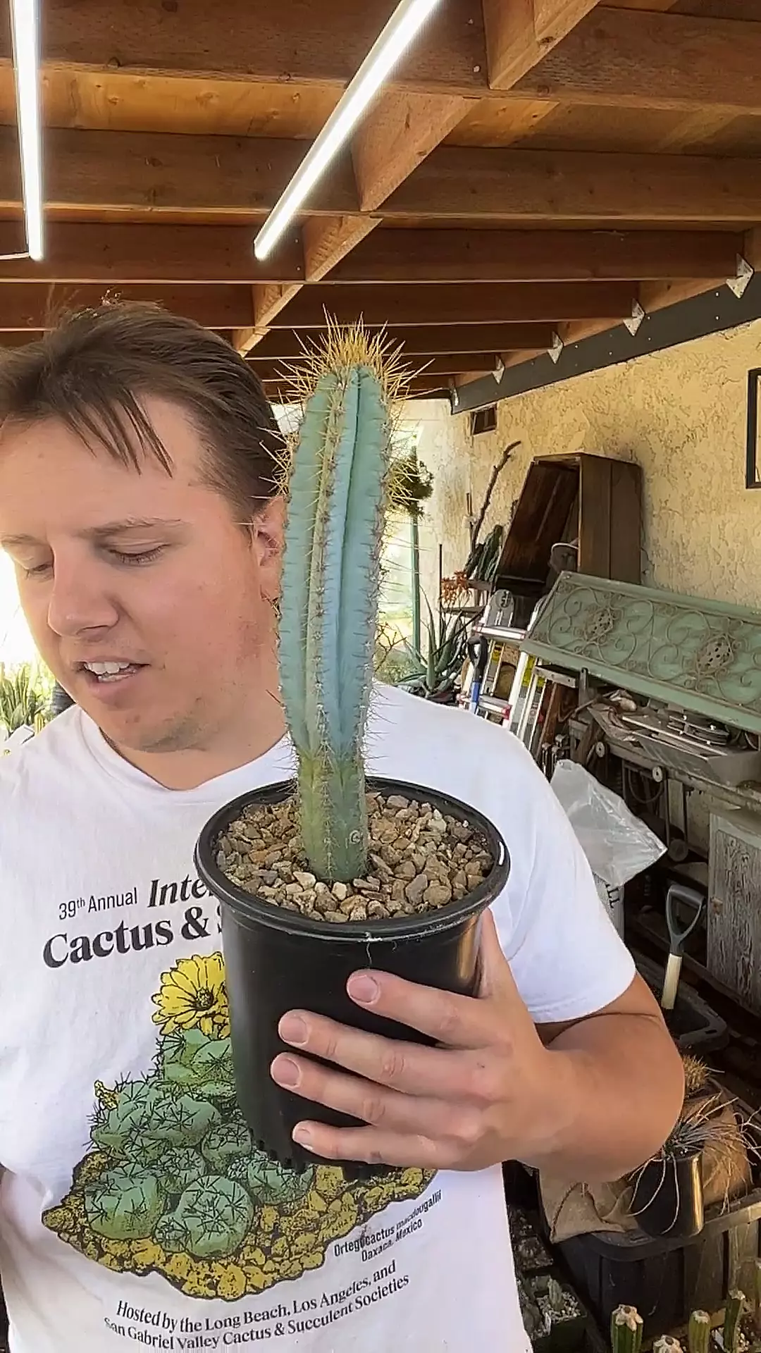 plant/Seed Grown Pilosocereus azureus-0