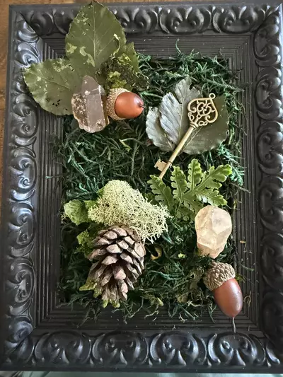 plant/Natures Bounty Frame-1-thumbnail