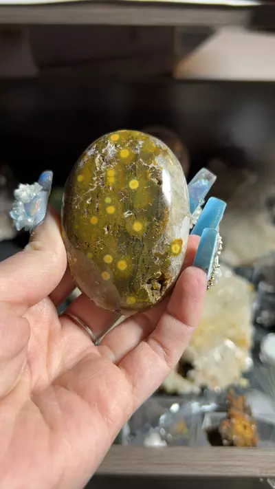 plant/Kabamby OJ Palm-0-thumbnail