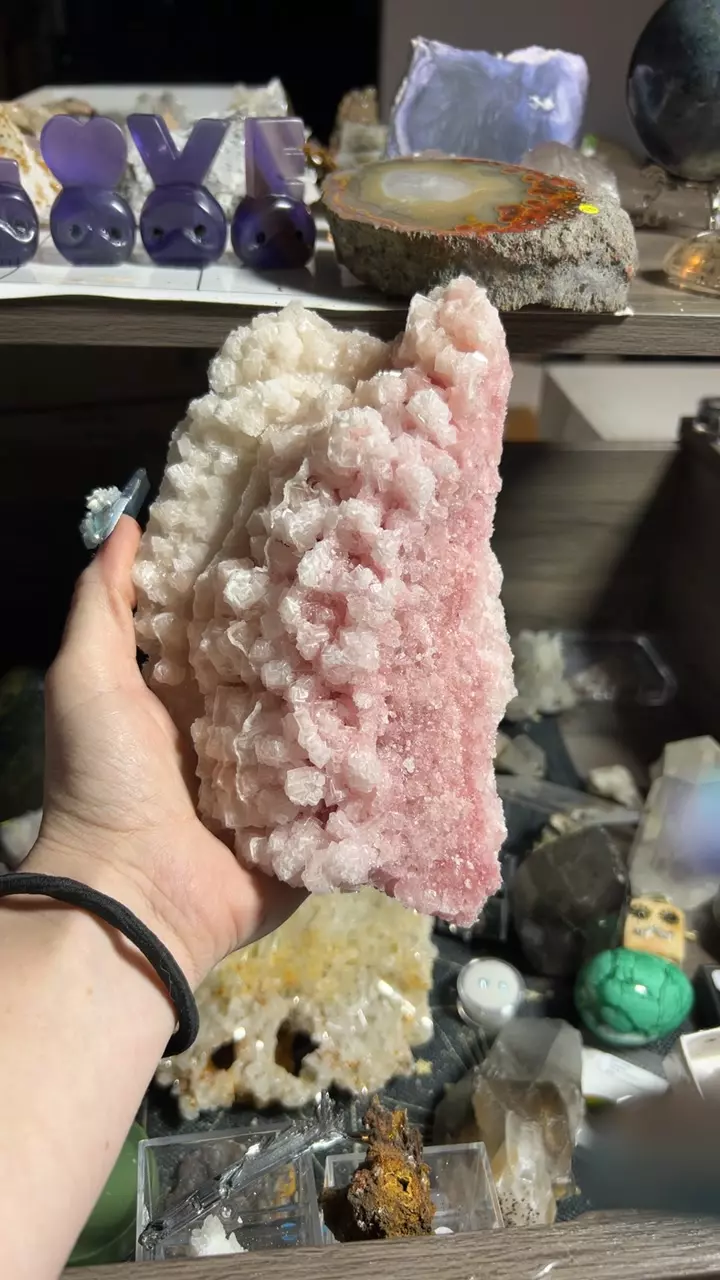 plant/Pink Halite-0