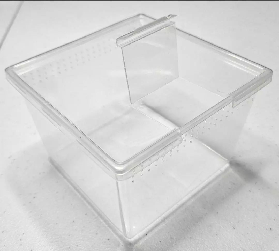 plant/Enclosure only 4.5x 3 inches-0