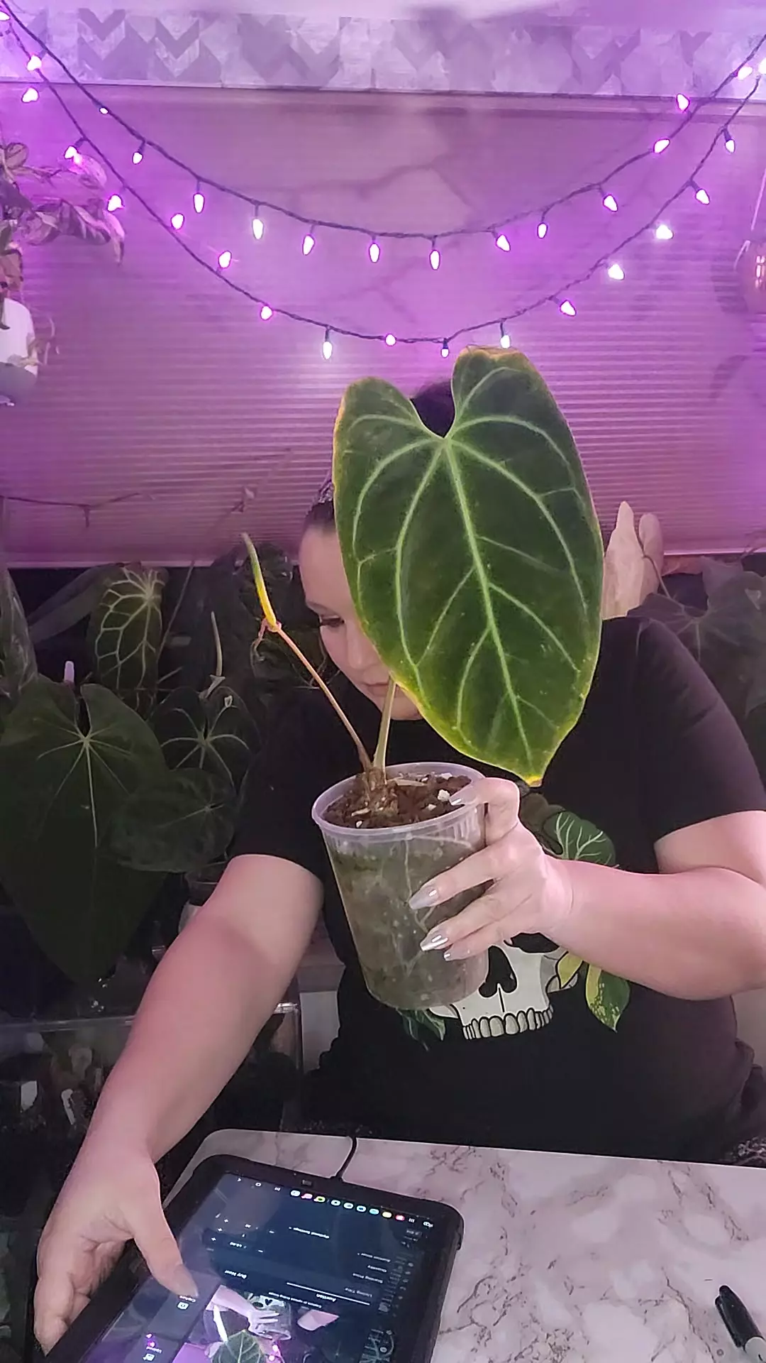 plant/Holdback Bess with flower-0