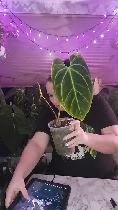 plant/Holdback Bess with flower-0-thumbnail