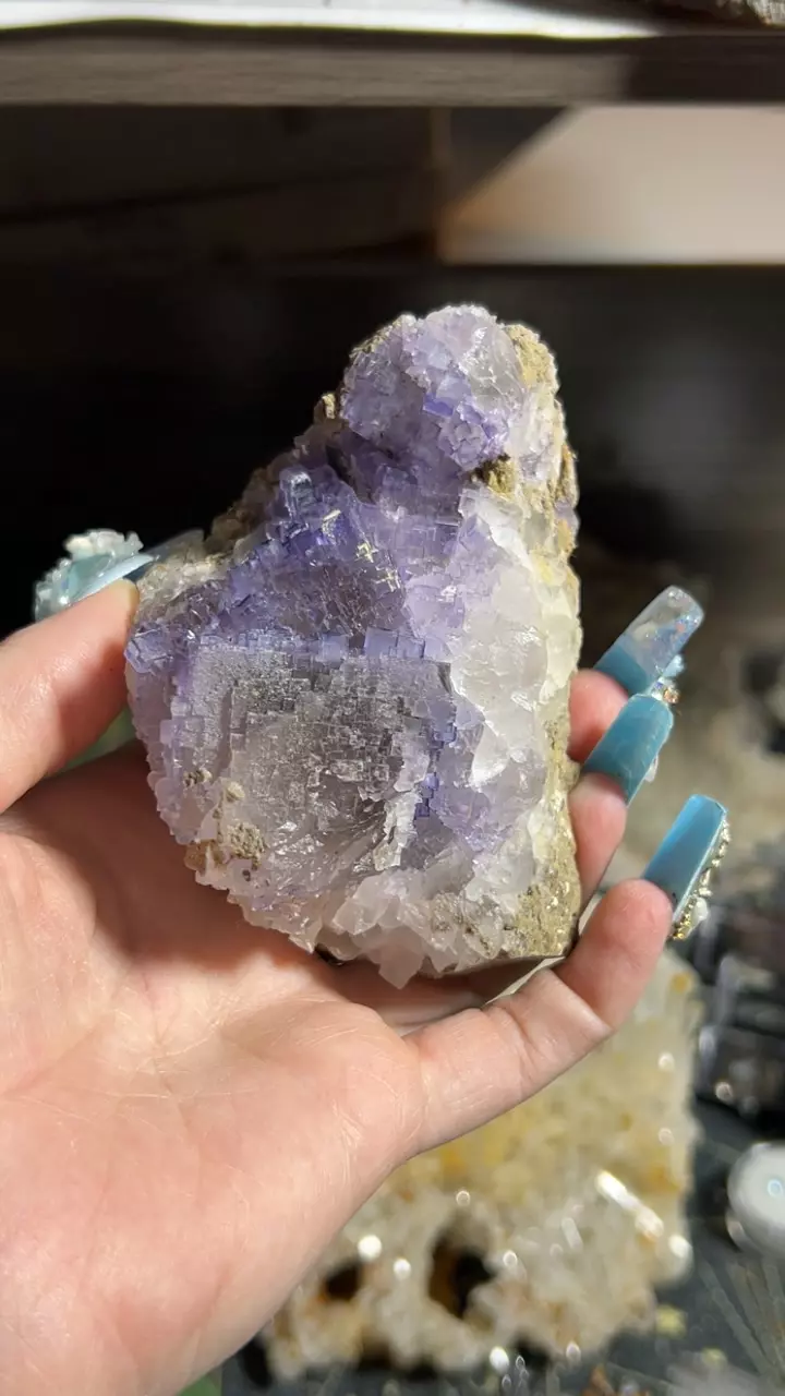 plant/Muzquiz fluorite-0