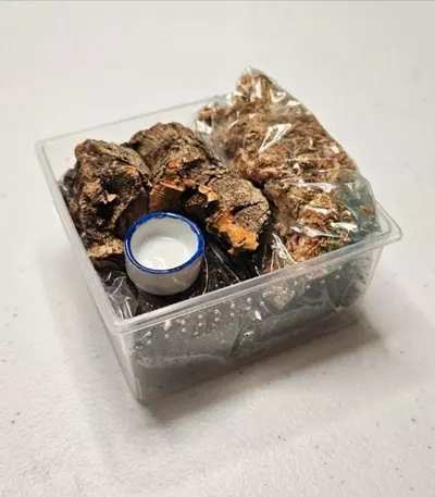 plant/Enclosure kit terrestrial sling-1-thumbnail