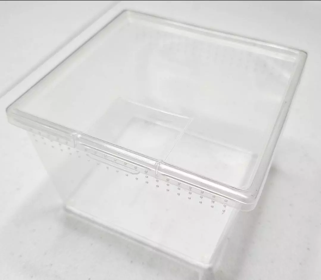 plant/Enclosure only 4.5x 3 inches-1