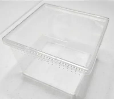 plant/Enclosure only 4.5x 3 inches-1-thumbnail