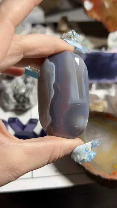 plant/Swazi Agate Palm-0-thumbnail