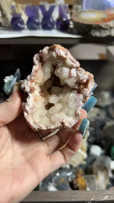 plant/Pink Amethyst Geode with Calcite from Argentina-0-thumbnail