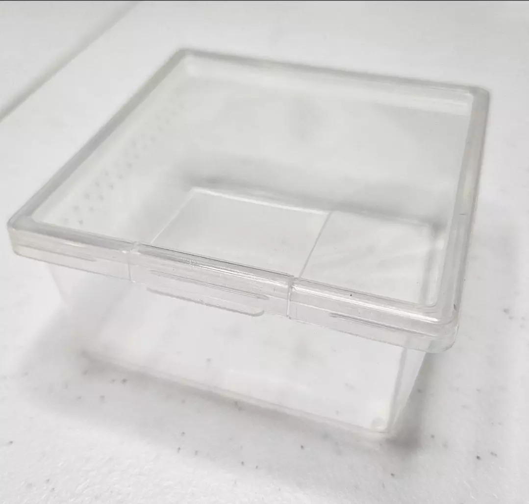 plant/Enclosure only 3.5x 1.75 inch-1