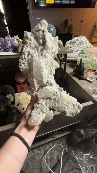 plant/Mangano Calcite-0-thumbnail