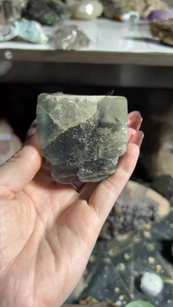 plant/Moroccan fluorite-0