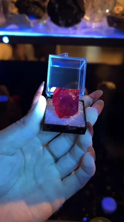 plant/Ojuela fluorite-0-thumbnail