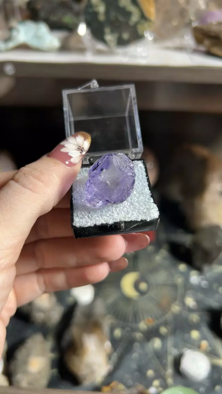 plant/Ojuela fluorite-0