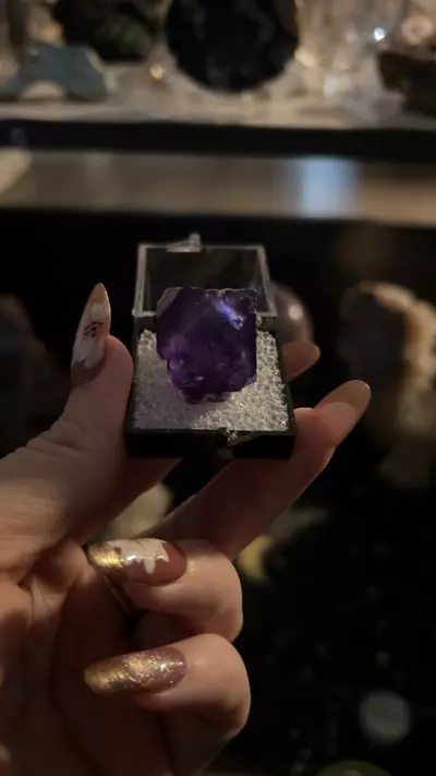 plant/Ojuela fluorite-0-thumbnail