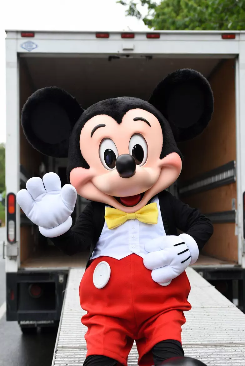 plant/Mystery Rack-0