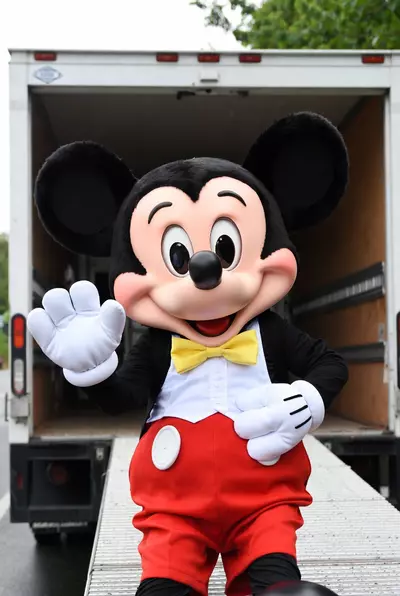 plant/Mystery Rack-0-thumbnail