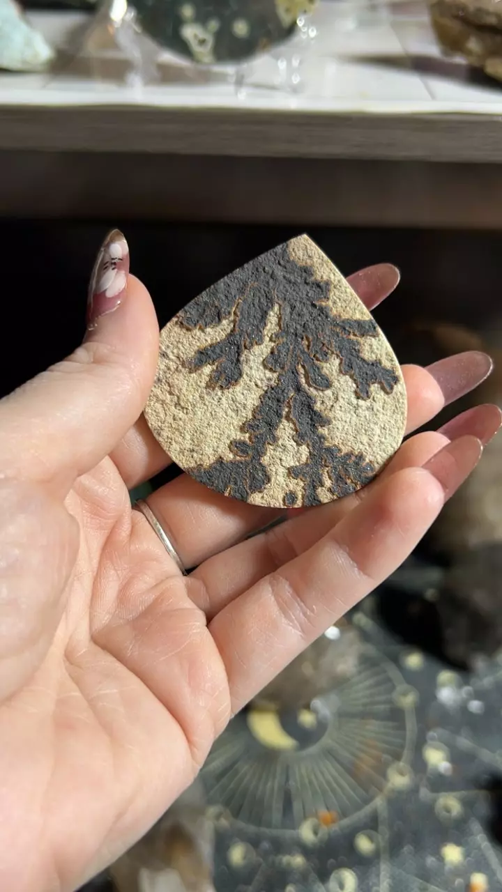 plant/Dendric sandstone-0